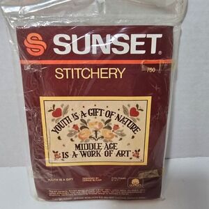 Sunset Stitchery Embroidery Kit #750 "Youth Is A Gift" Vtg 1984 Cross Stitch